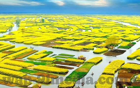 91麻豆精品国产91久久久久久动漫人物-另眼看国产动漫中的新贵——91麻豆精品国产91久久久久久动漫人物