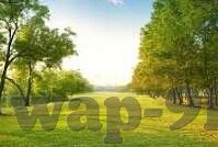 蜜桃91麻豆av在线观看-不可触碰的禁忌，关于网络色情内容与个人健康的思考