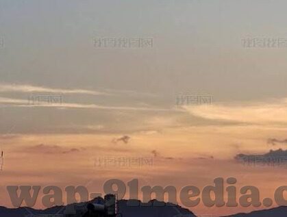 污91软件下载大象传媒-污91软件下载与大象传媒，网络灰色地带的警示
